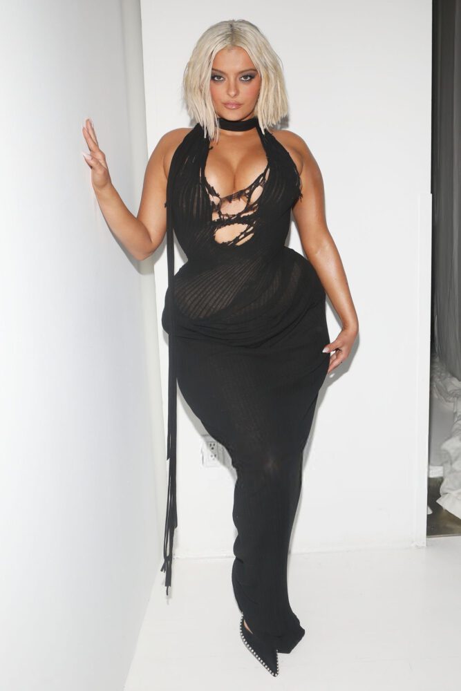 Bebe Rexha Huge Cleavage Sheer Cutout Dress Nyfw