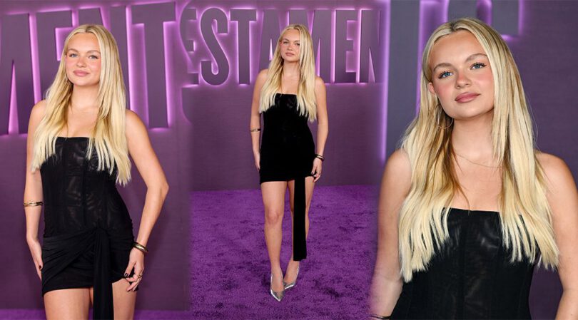 Pressley Hosbach Shows Off Her Long Legs in Chic Sheer Corset Look