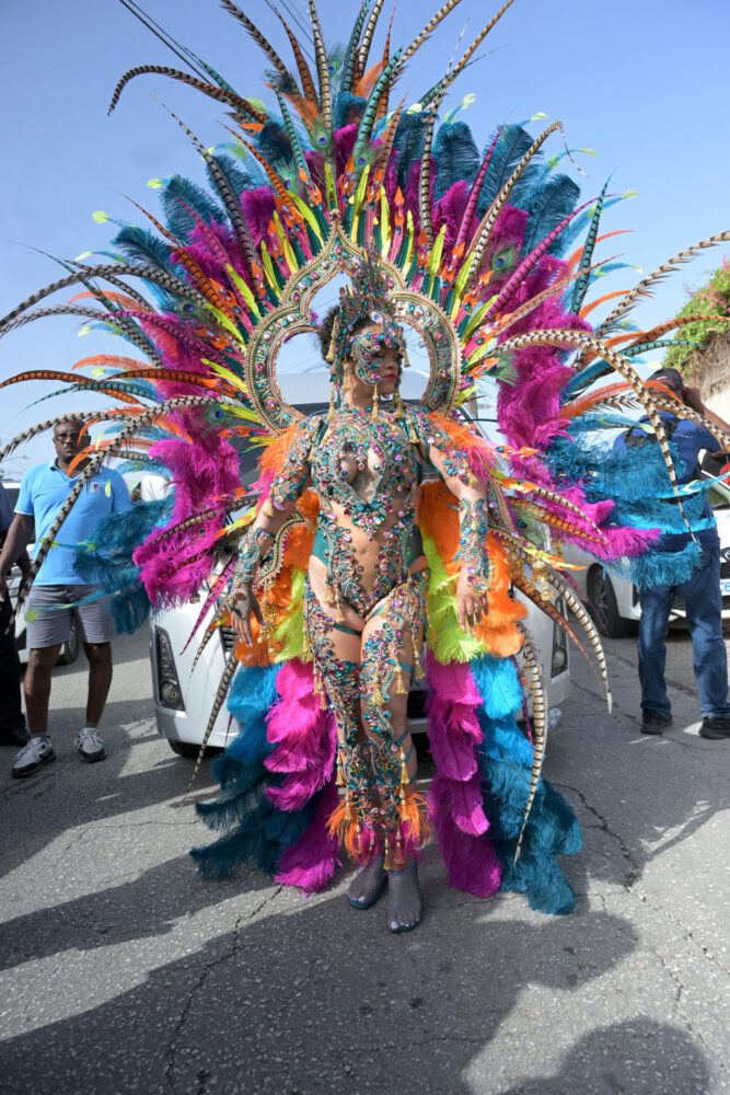 Rihanna Carnival Nipslip Big Boobs Ass Barbados Kadooment