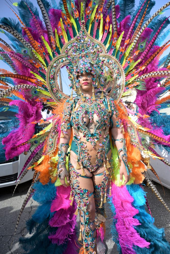 Rihanna Carnival Nipslip Big Boobs Ass Barbados Kadooment