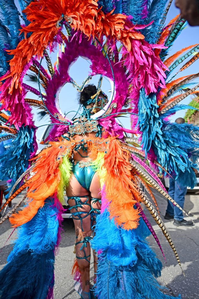 Rihanna Carnival Nipslip Big Boobs Ass Barbados Kadooment