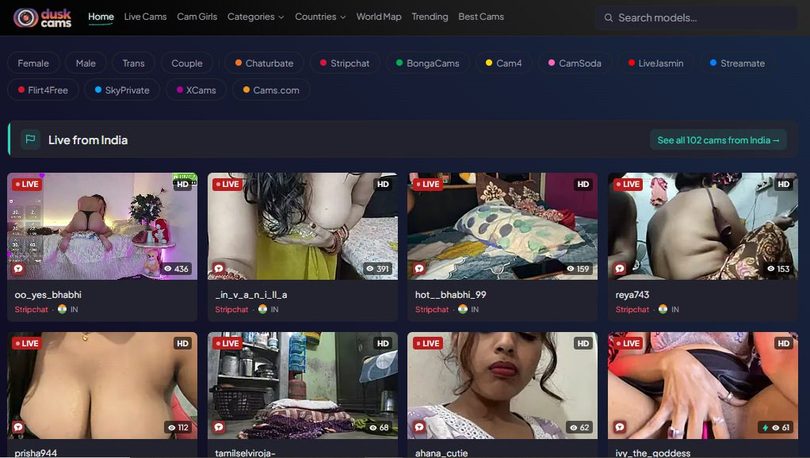 Why is DuskCams One-Stop Cam Destination Better Than Browsing Multiple Pages?