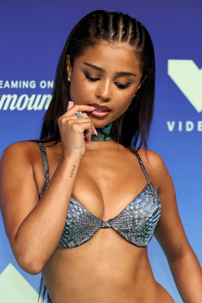 Tyla Ultra Low Rise Snakeskin Skirt Ass Tease Mtv Vmas