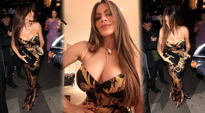 Sofia Vergara Flaunts Massive Cleavage In A Skin-Tight Gown At The L’Avenue Party In Paris