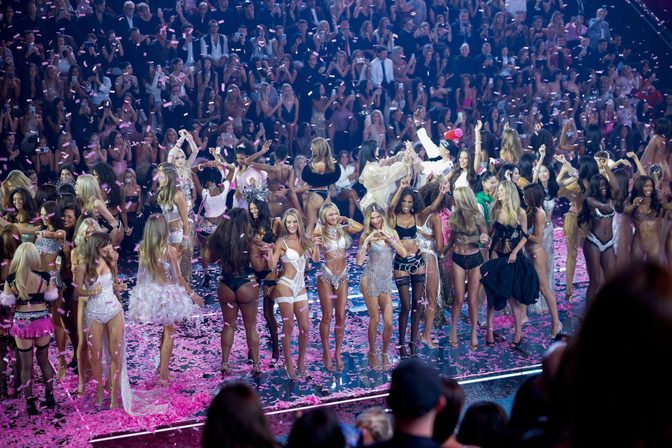 Elsa Hosk Sheer Nude Lace Golden Wings Vsfs
