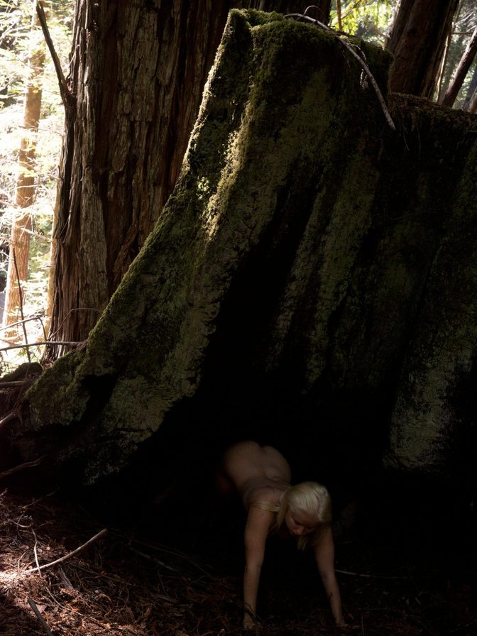 Lexee Smith Artistic Nude Ocean Sunset Forest Photos