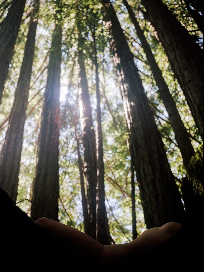 Lexee Smith Artistic Nude Ocean Sunset Forest Photos