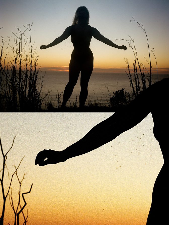 Lexee Smith Artistic Nude Ocean Sunset Forest Photos