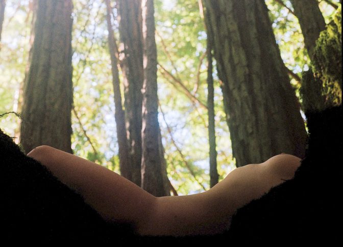 Lexee Smith Artistic Nude Ocean Sunset Forest Photos