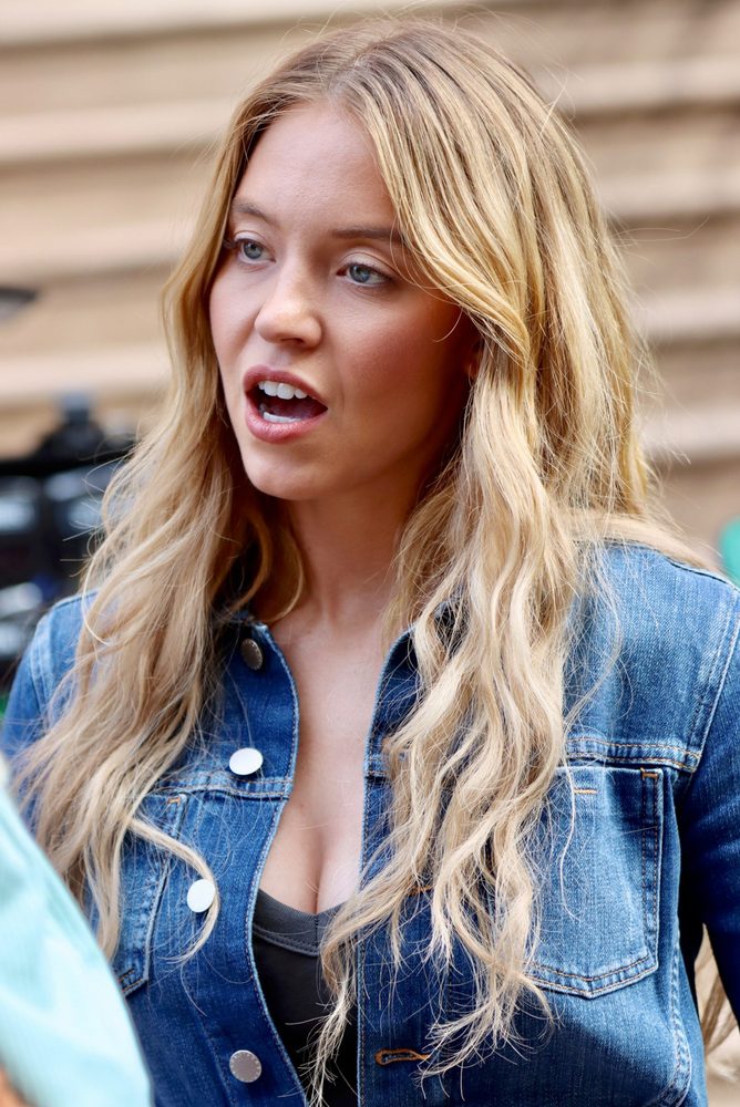 Sydney Sweeney Cleavage Denim Jacket Housemaid Secret Set