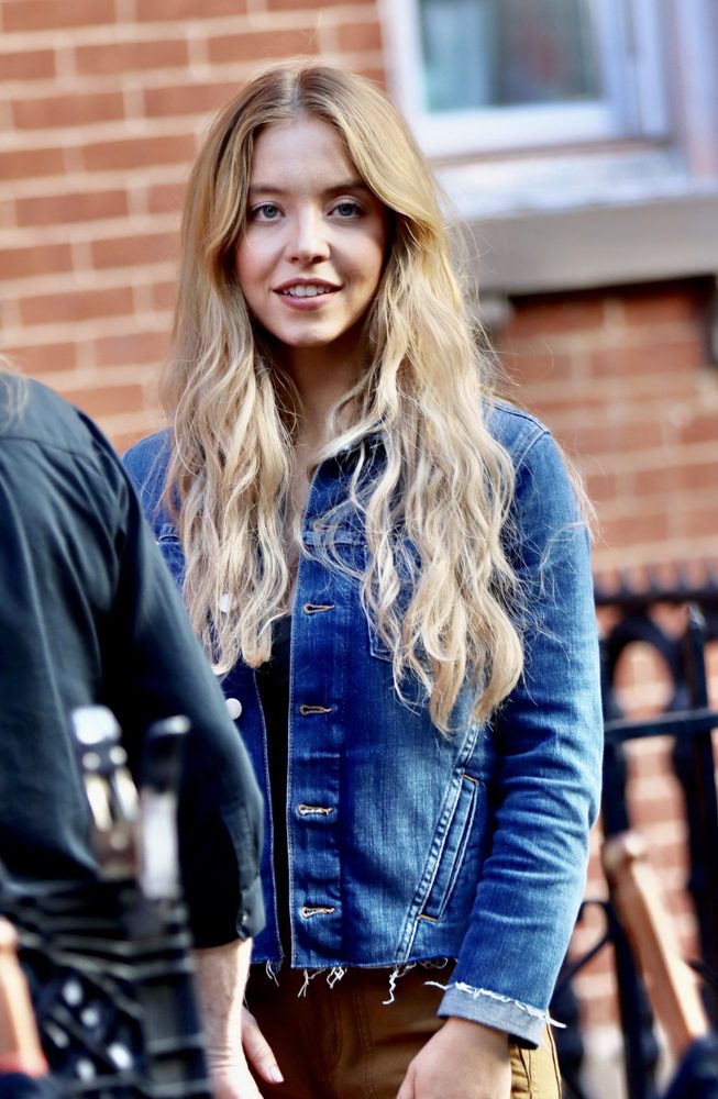 Sydney Sweeney Cleavage Denim Jacket Housemaid Secret Set