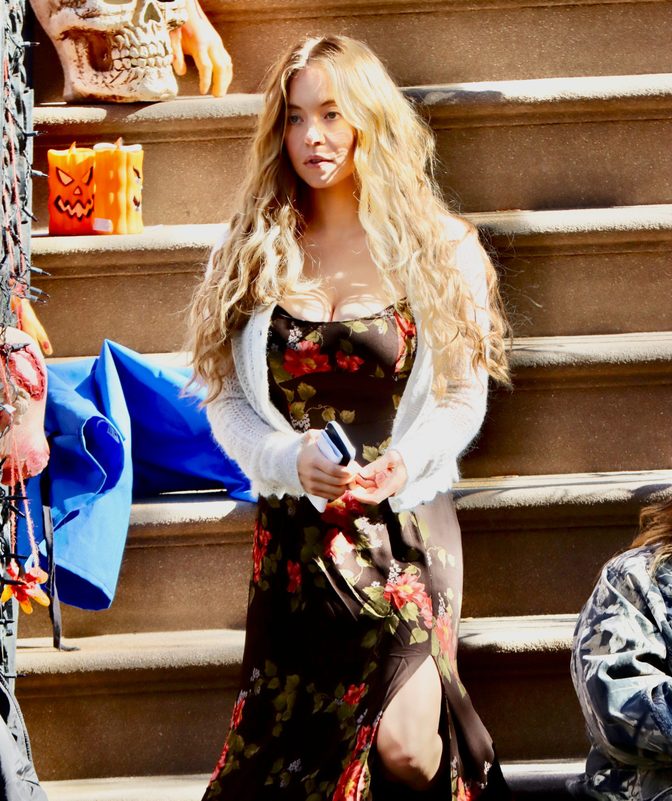 Sydney Sweeney Floral Dress Cleavage Housemaids Secret Set