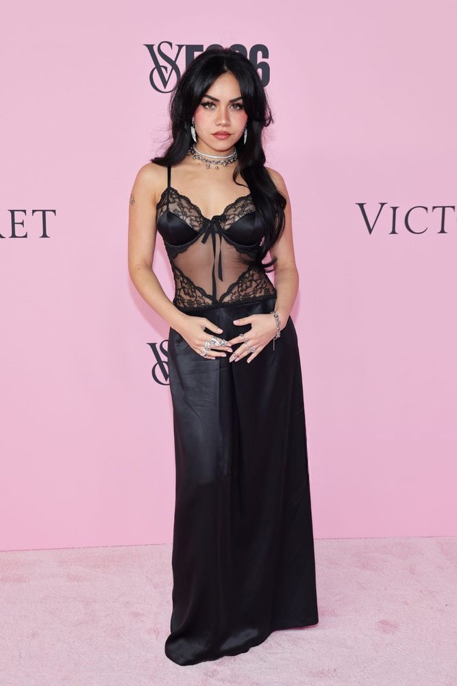 Tara Yummy Black Lace Sheer Mesh Vs Fashion Show